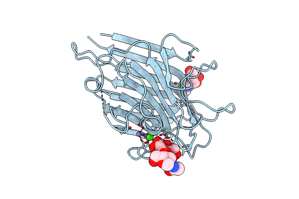1SBE image