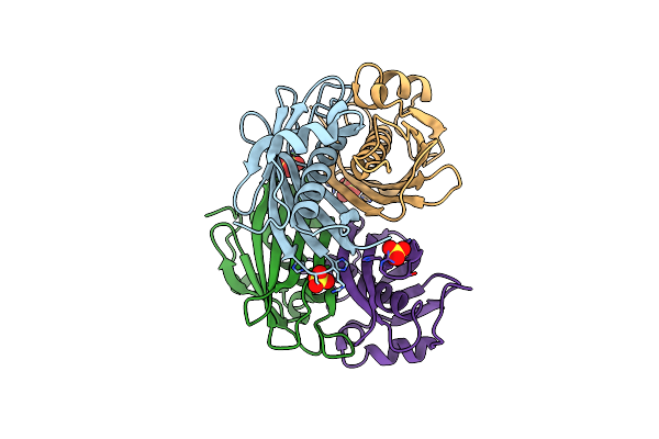 1SBK image