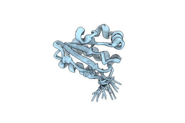 1SBO image
