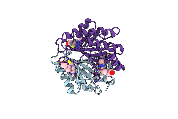 1SBR image