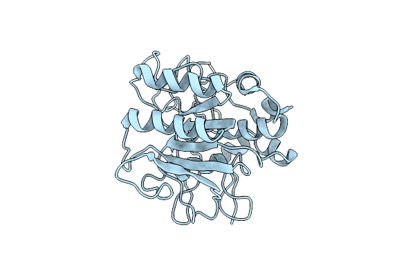 1SBT image