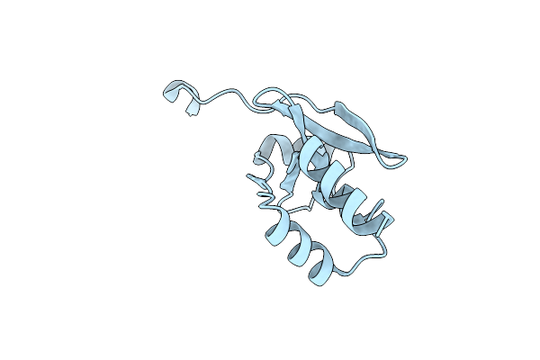 1SBX image