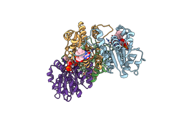 1SBZ image
