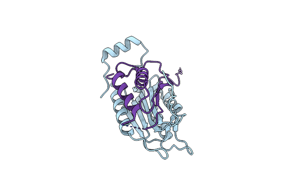 1SC4 image