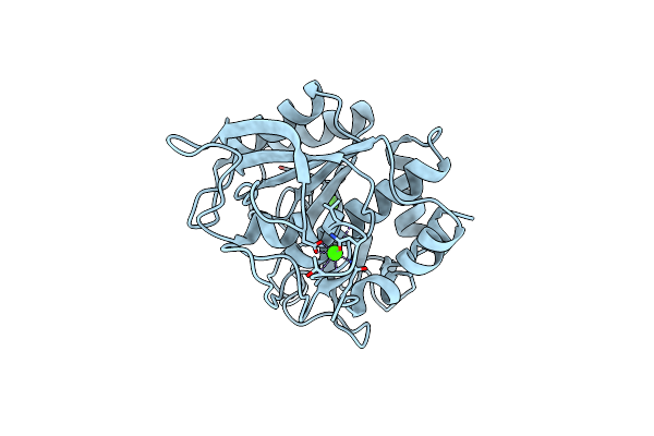 1SCD image