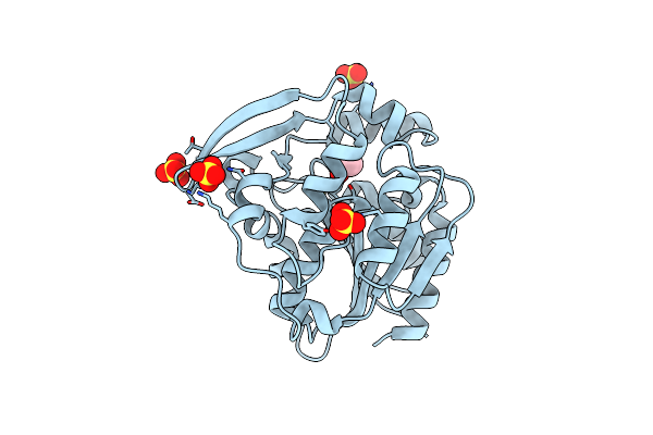 1SCK image