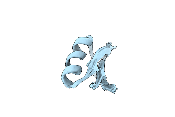 1SCO image