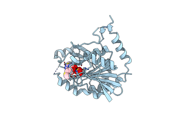 1SD2 image