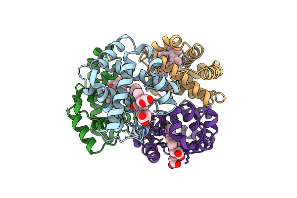 1SDK image