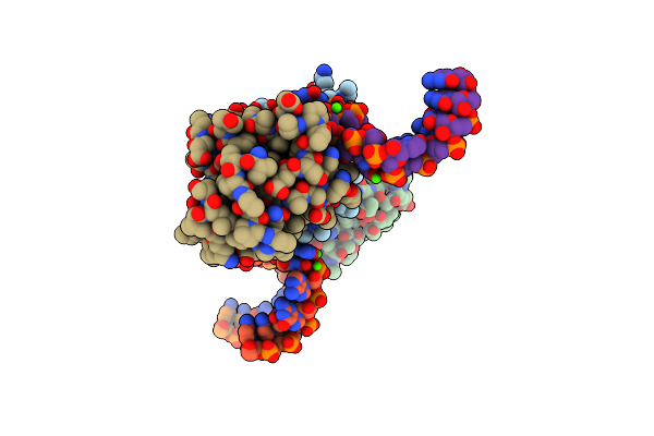 1SDS image