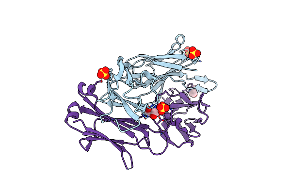 1SEQ image
