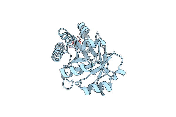 1SFS image