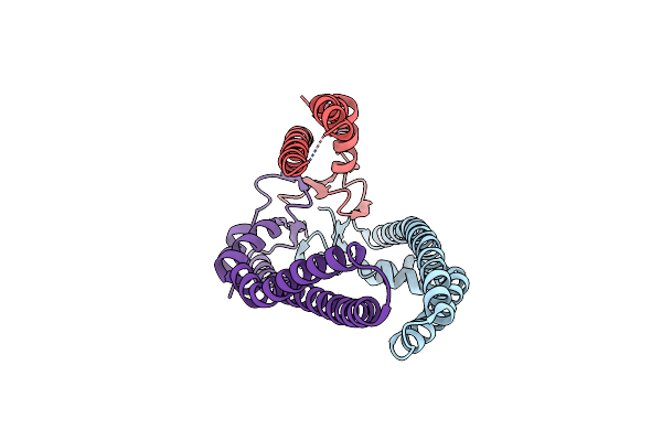 1SG2 image