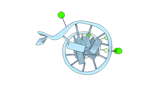 1SGS image