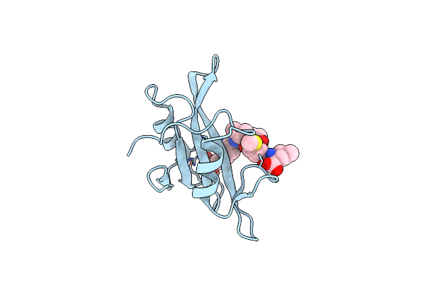 1SHA image