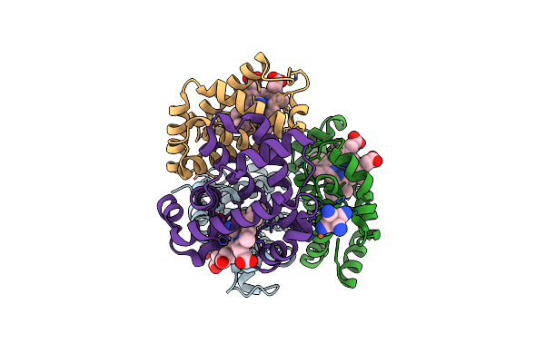 1SHR image