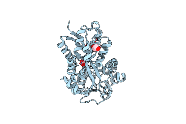 1SI0 image