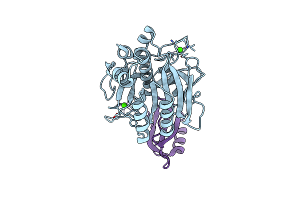 1SIB image