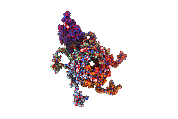 1SID image