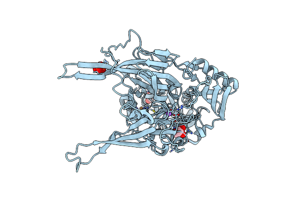 1SIH image