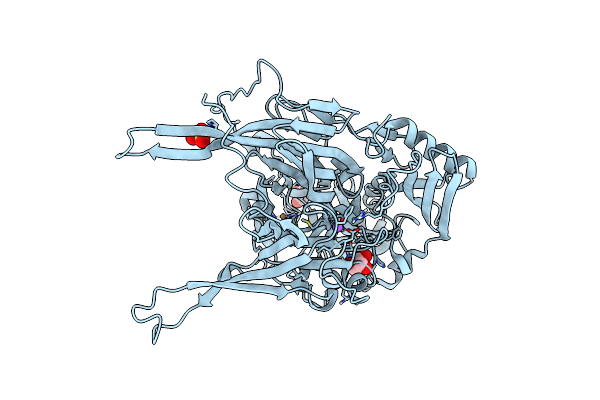 1SII image