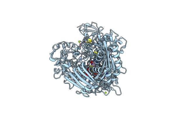 1SIJ image