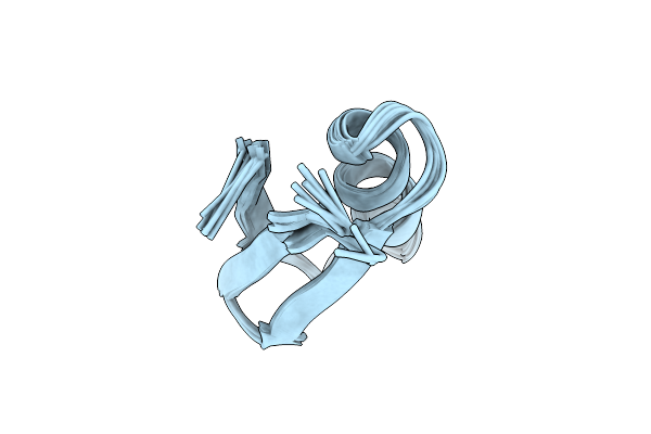 1SIS image