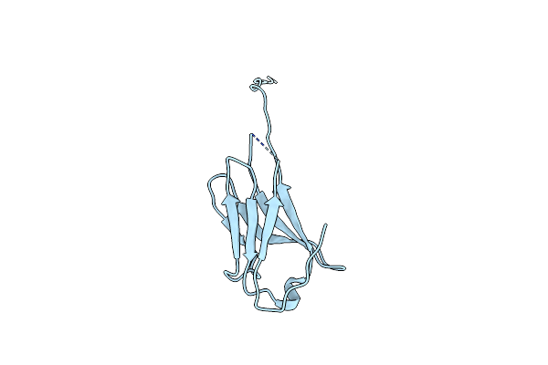 1SJV image