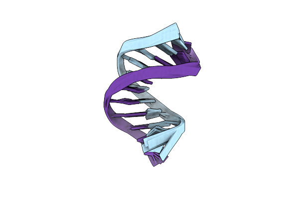 1SKP image