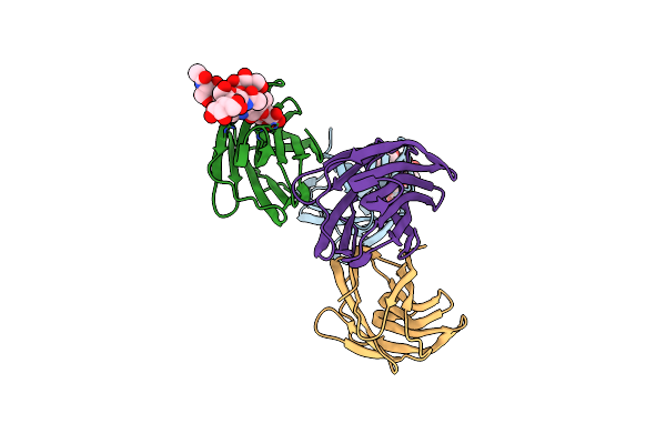 1SLC image
