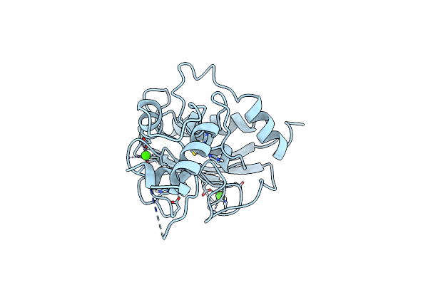 1SLM image