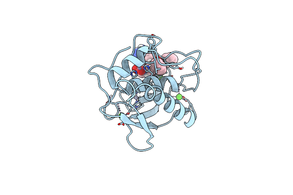 1SLN image