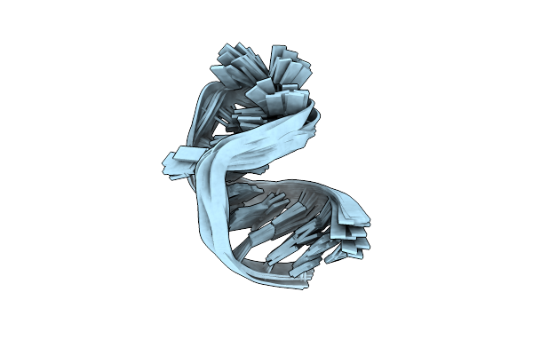 1SLP image