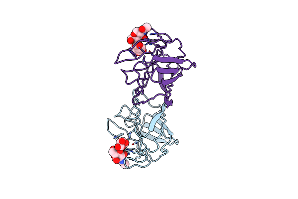 1SLT image