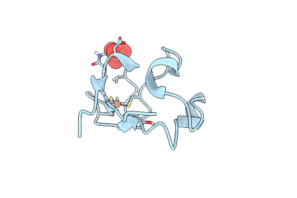 1SMM image