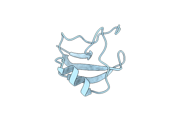 1SN1 image