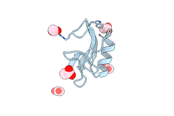 1SN4 image