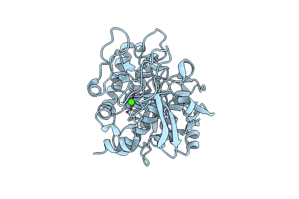 1SN7 image
