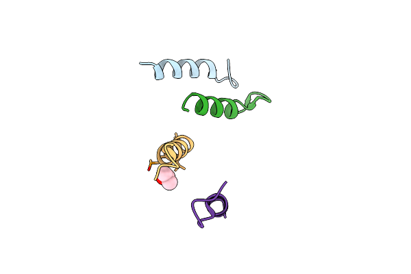 1SNA image