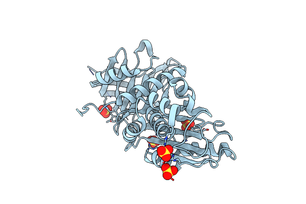 1SNG image