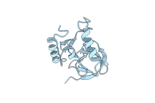 1SNO image