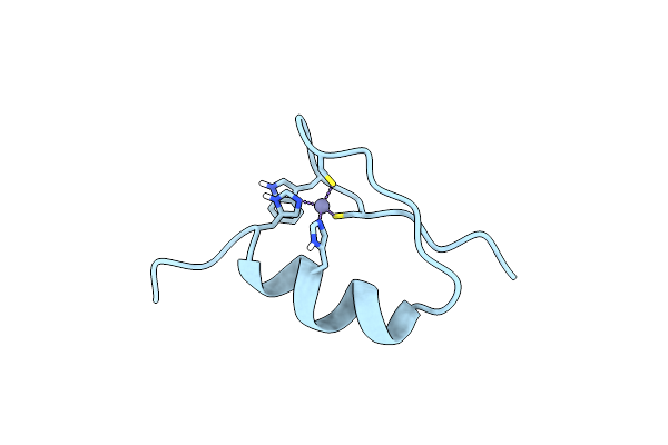 1SP2 image
