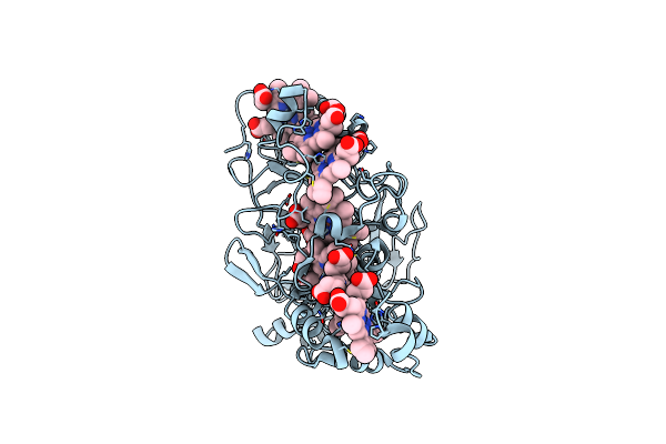 1SP3 image