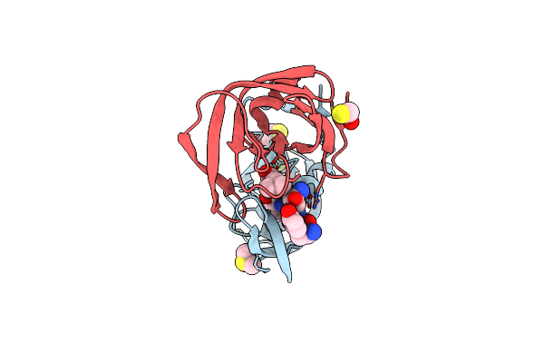 1SP5 image