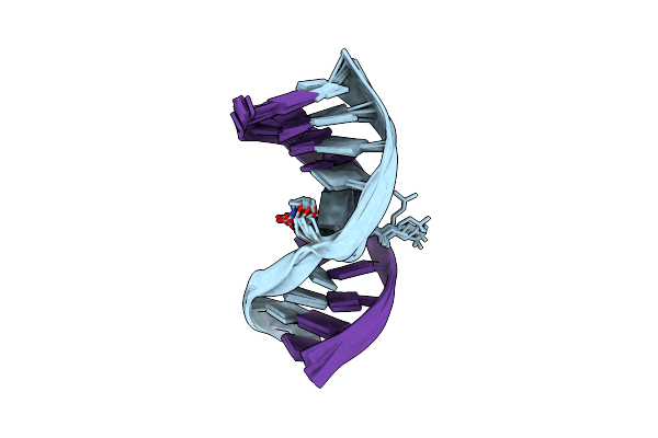 1SP6 image