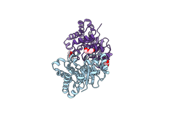 1SPQ image