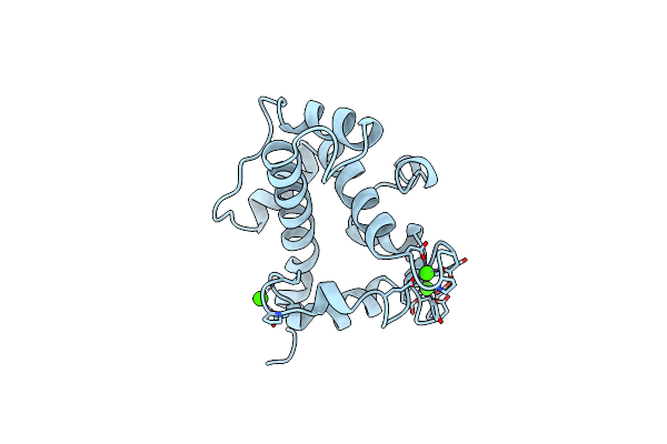 1SRA image