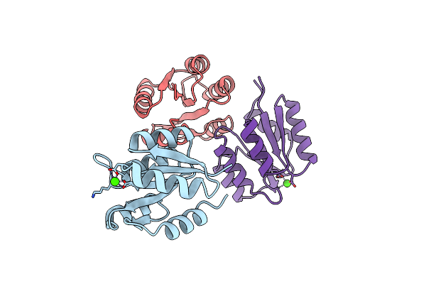 1SRR image