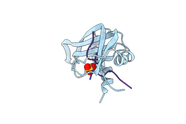 1SSA image