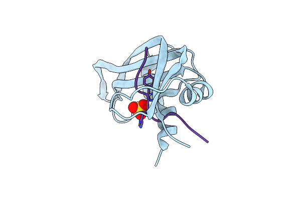 1SSB image